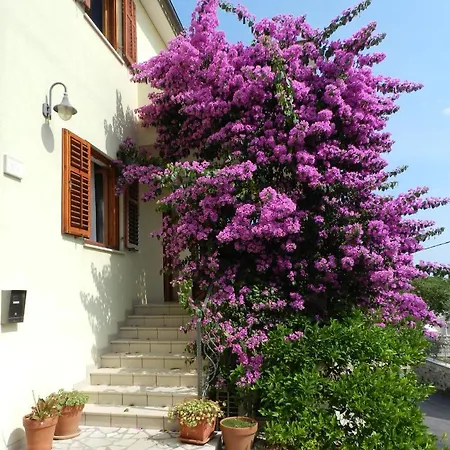 Mata Apartament