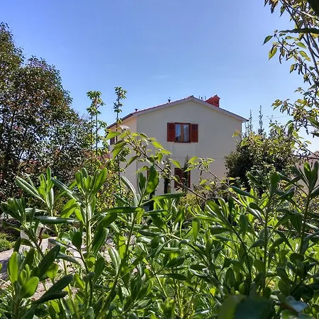 Mata 普莱曼图拉