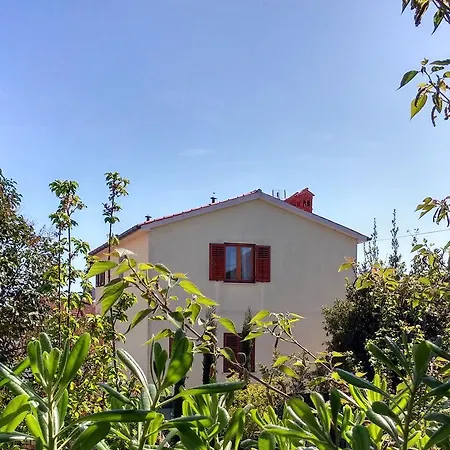 Apartament Mata