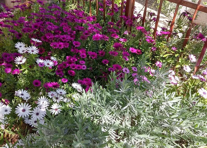 Apartman Mata Premantura