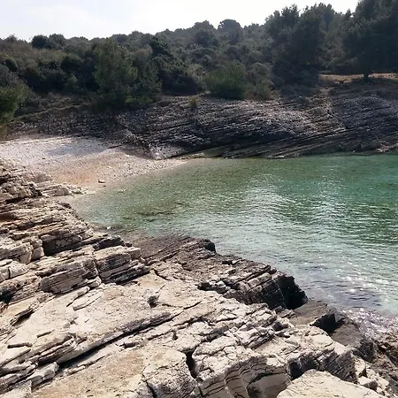 Mata